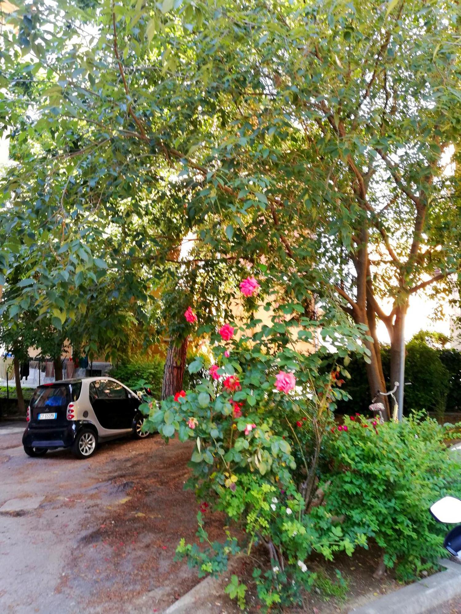 Tupertu Sant'Orsola - Centro Apartman Bologna Kültér fotó